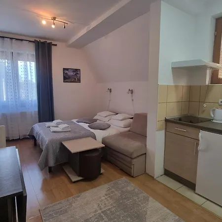 Nesovic Tara Apartment *