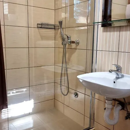 Apartment Nesovic Tara *