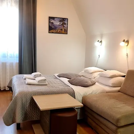 Apartment Nesovic Tara *