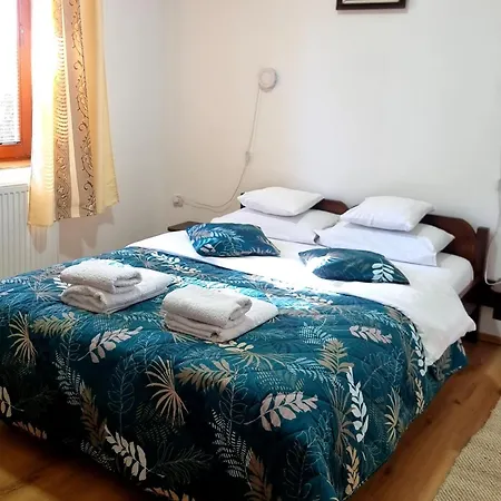 Apartment Nesovic Tara