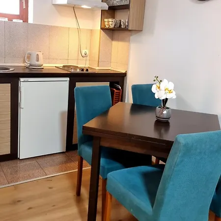 Nesovic Tara Apartment Kaludjerske Bare