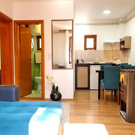 Nesovic Tara Apartment Kaludjerske Bare