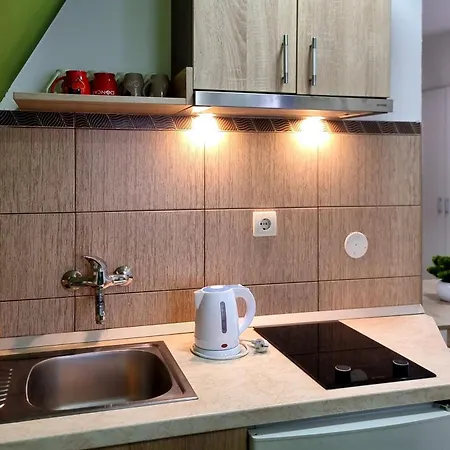 Nesovic Tara Apartment