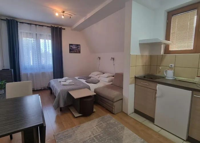 Nesovic Tara Appartement *